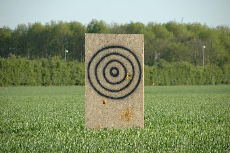 DSC_0556.JPG