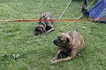 IMG_0046